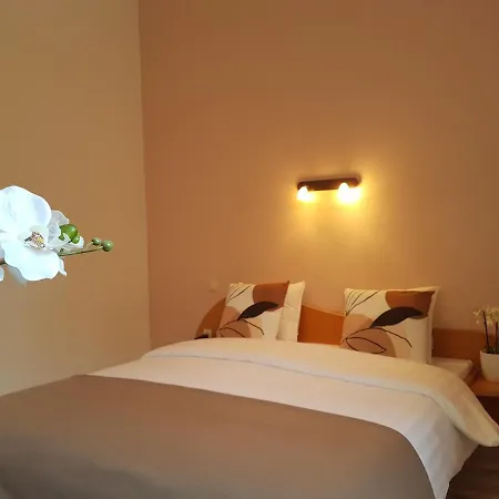 Room In Guest Room Pensionat *